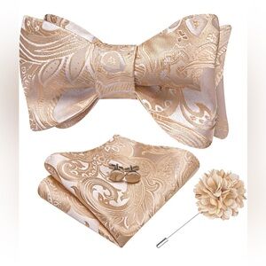 Elegant Paisley Bow Tie Set in Gold